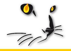 GATO.SK s.r.o.
