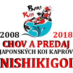 Bari-Koi