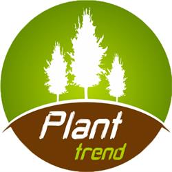 Plant trend