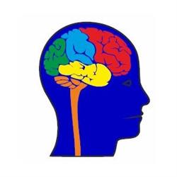 NEUROCENTRUM s. r. o., neurologická ambulancia