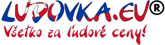 Logo multicolor
