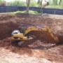 5c1675b085ed6247e1793721_basement-dig-excavator-p-1080.jpeg