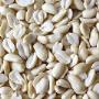 birdfood.jpg