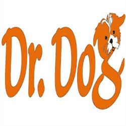 Dr.Dog