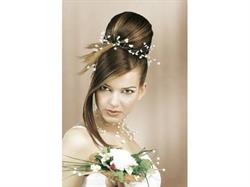 Salon Medea Styl - Anezka Steffekova