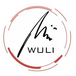 WULI s. r. o.