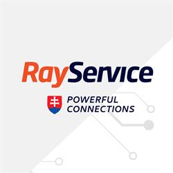 Ray Service
