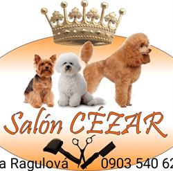 Salón Cézar