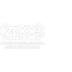 ZPOE - Združenie priemyselných odberateľov energie