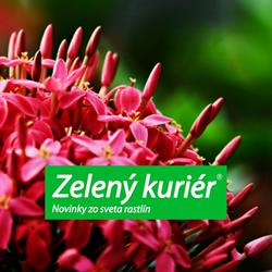 Zeleny kurier