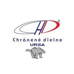 Chránené dielne.sk