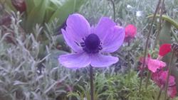 RESIVIA s. r. o.