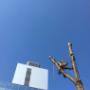 image9.jpeg
