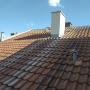 IMG_20220512_165031.jpg