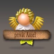 Aniel Privat