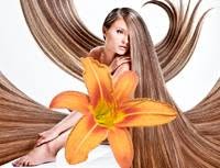 Salon Avalon