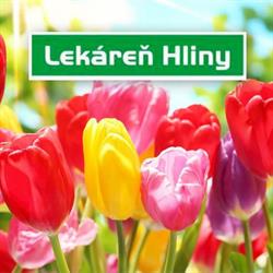LEKÁREŇ HLINY