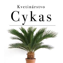 KVETINÁRSTVO CYKAS