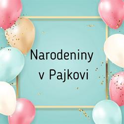 Detské interiérové ihrisko PAJKO