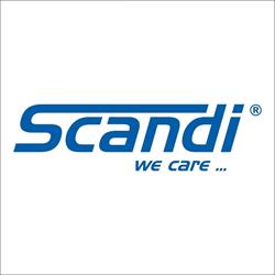 Scandi