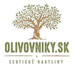 Olivovniky.sk - Showroom Stupava
