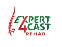 Expert4Cast