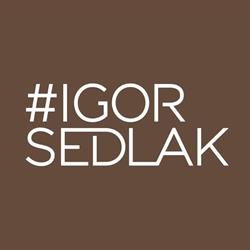 Salón Igor Sedlák