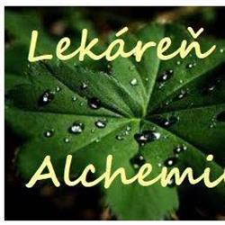 Alchemilla