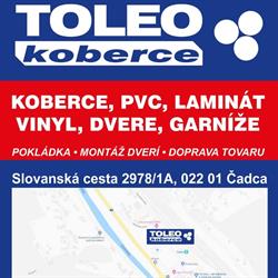 Toleo
