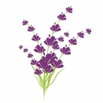 Lavender Penzión & Reštaurácia