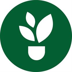 Plantizia