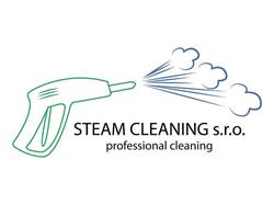 STEAM CLEANING