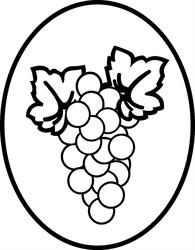 Vinkovič - vinohradníctvo, vinárstvo