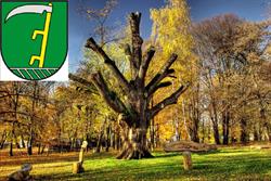 Obecný úrad