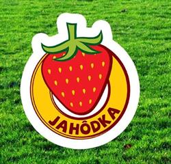 Súkromné detské centrum Jahôdka (materská škola)