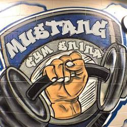 Fitness Centrum Mustang Gym