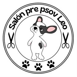 Salón pre psov LEO