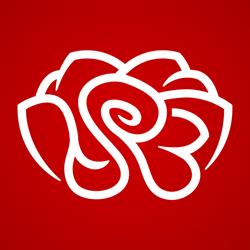 Zirigová Katarína - Red Rose