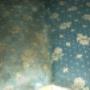 IMG_20171114_120119.jpg