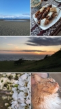 Weekend photo dump.
