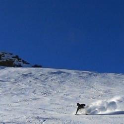 Ski-duvi