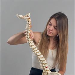 Fyzioplus