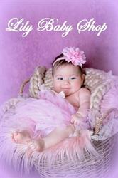 Lily Baby Shop