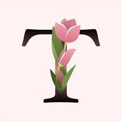Kvety Tajana - Donáška kvetov Nitra a okolie