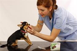 Veterinárna klinika OraVet