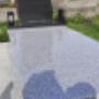 311113894_603277354917832_4835706704936210663_n.jpg
