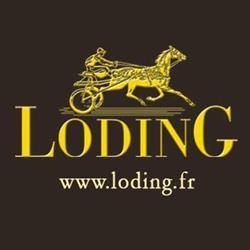 Loding Cubicon