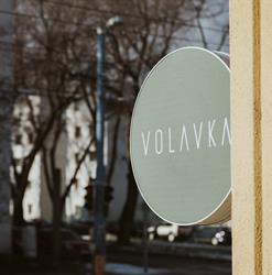 Volavka