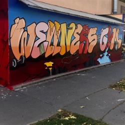 Wellnes-gym s.r.o.