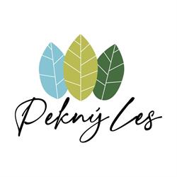Pekný les